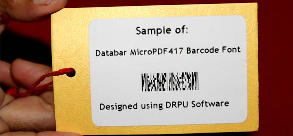 Sample of Databar MicroPDF417 Font