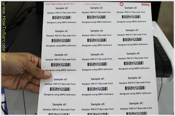 Databar PDF417 Barcode Labels